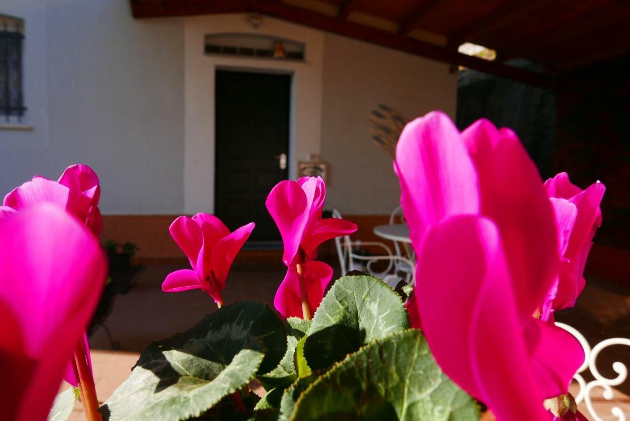 B&B Ai Tre Archi Споторно Экстерьер фото